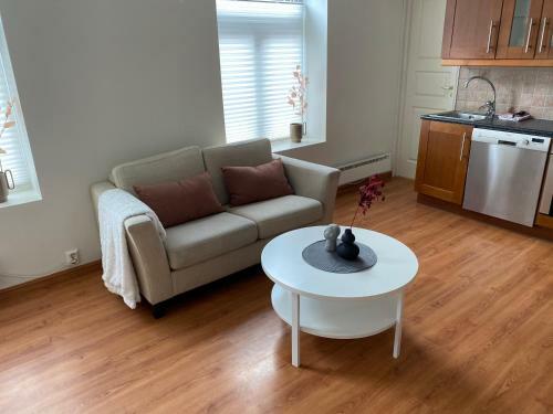 Apartamento Ponderosa - Dronningensgate Central