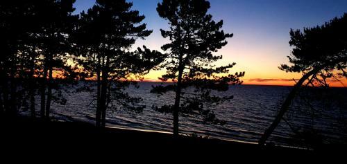 Apartament Golden Pearl G?ski