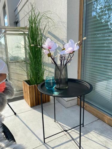 Apartament Przysta?