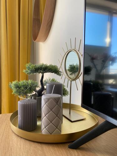 Apartament Przysta?