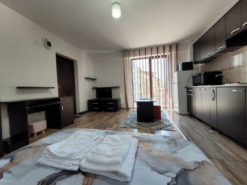 Re Downtown Apartments - Cozy Studio Near Piata Unirii