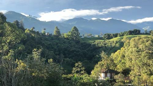 Bed & Breakfast Finca Momota Farm