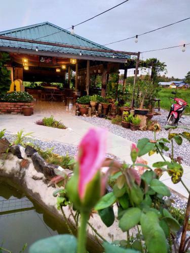 Hostal Langkawi Country Lodge2
