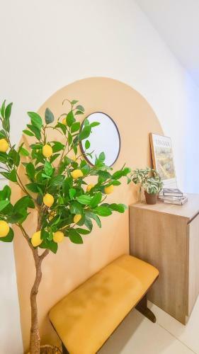 Lyly Melody Apartment Homestay Vung Tau
