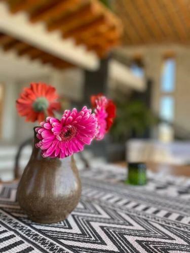 Las Nubes A Bohemian And Romantic Destination. Todos Santos Bcs