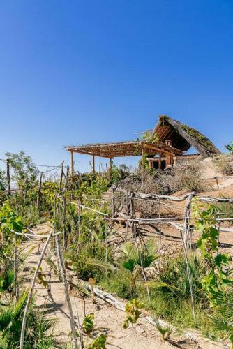 Las Nubes A Bohemian And Romantic Destination. Todos Santos Bcs