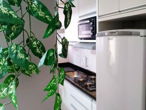 Apartamento Ap� 104-b Confort�vel No Centro