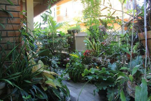 Brother's Family Homestay