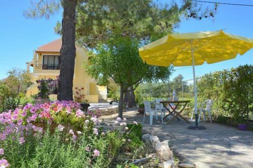 Apartamento Alexandra Studio 2