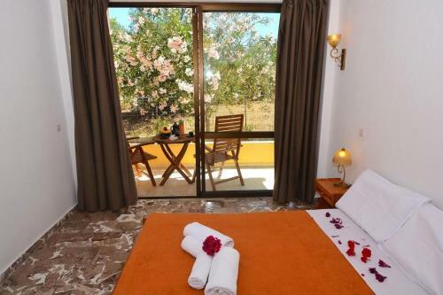 Apartamento Alexandra Studio 5