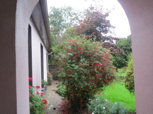 Abbey View Bed & Breakfast