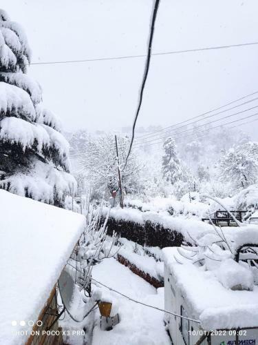 Hotel The Vintage Villas