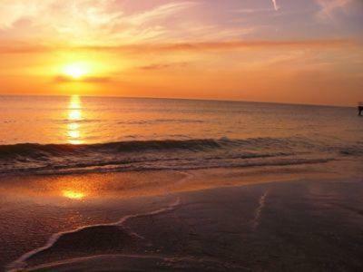 Twin Palms: A Chef's House Close To Beach * Super Kid Friendly