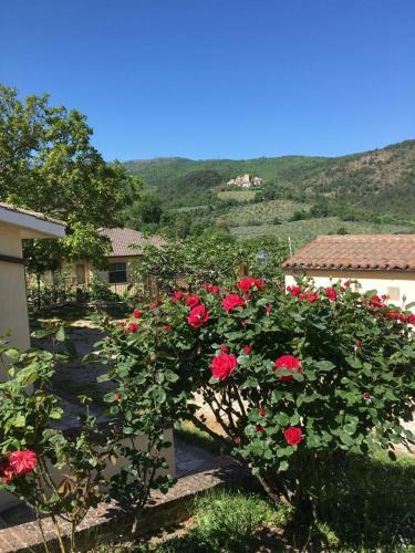 Apartamento Agriturismo Gasperini