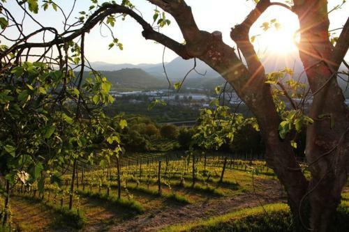 Agroturismo Il Cavaliere