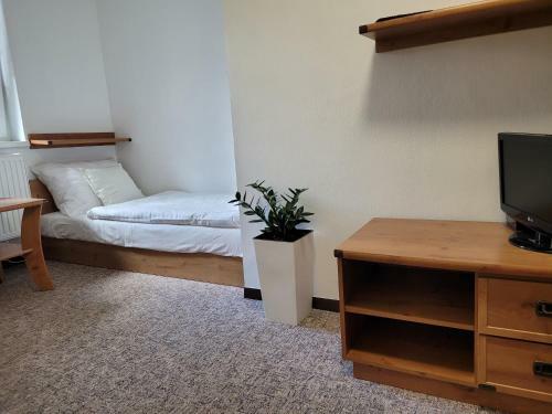 Lodge Ml�nky Jesen�ky