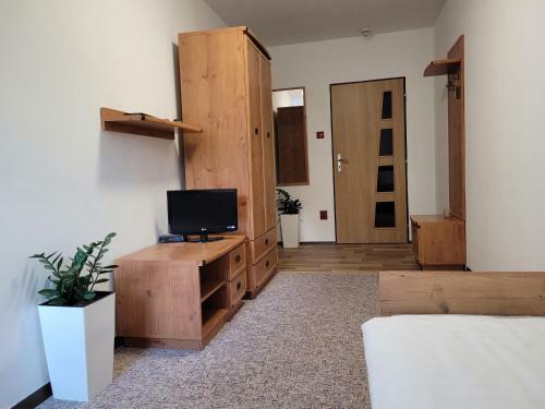 Lodge Ml�nky Jesen�ky