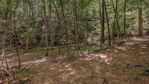 Bear Creek Cabin By Escape To Blue Ridge