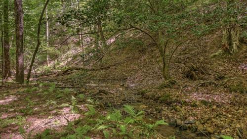 Bear Creek Cabin By Escape To Blue Ridge