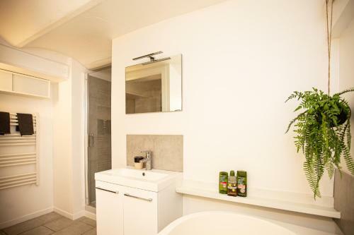 Beautiful Converted One Bedroom Apartment
