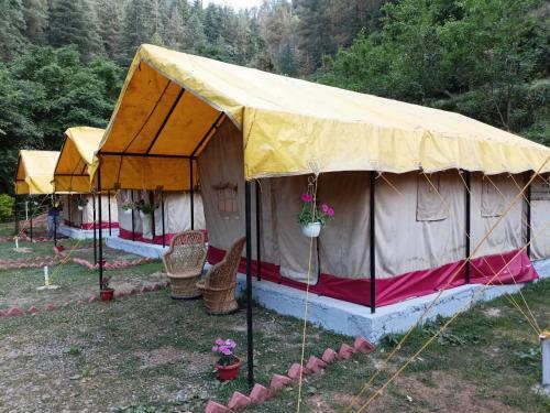 Shimla Camping