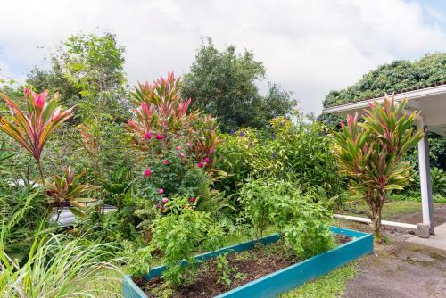 Honaunau Mauka Hale 31 Day Rental