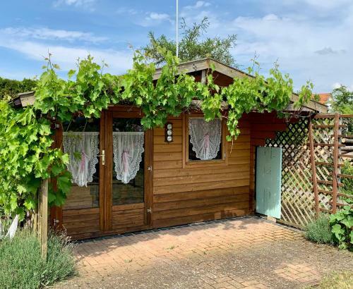 Ferienhaus Rh�npark