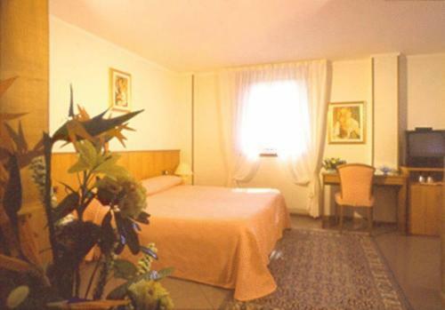 Hotel Willy