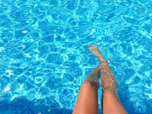 Las Tres Rosas Petfriendly House