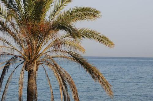 Lujosa Vivienda En Primera L�nea De Playa
