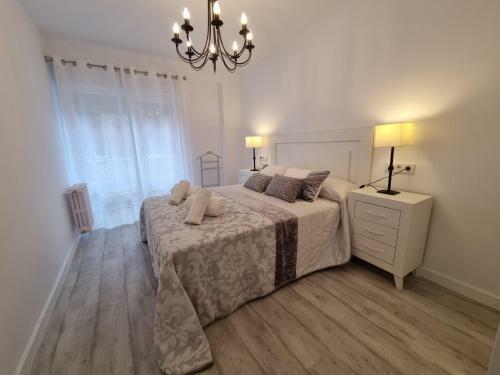 Apartamento 143a Moderno, C�ntrico, 3 Habitaciones