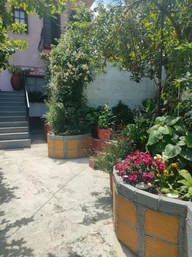 Apartamento Hara's House