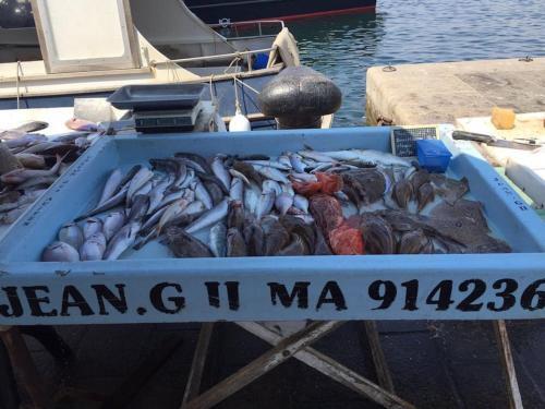 Apartamento T3 Avec Jardin Dans Villa Rocaille