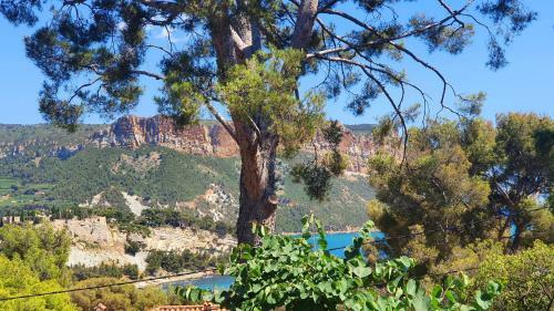 Apartamento T3 Avec Jardin Dans Villa Rocaille