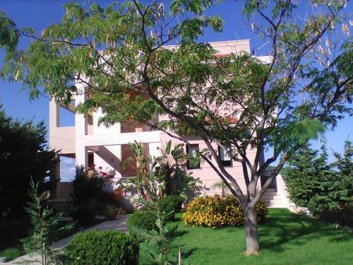 Angel Mountain View Villa