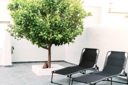 Apartamento Antika Traditional Stone House