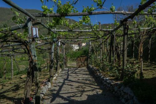 B&B Il Tintore
