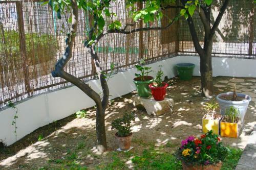Bed & Breakfast Il Giglio