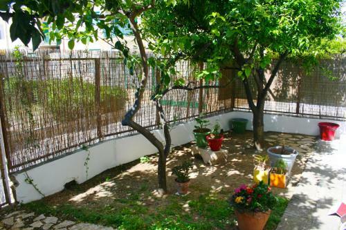 Bed & Breakfast Il Giglio
