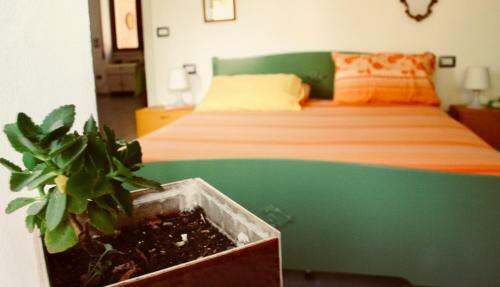 Bed & Breakfast Il Giglio