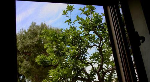 Bed & Breakfast Il Giglio