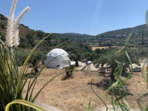 Gorgeous Geodesic Dome Next To Kopria Beach