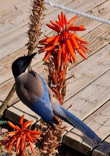 Apartamento Victory Village 10c