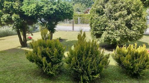 Apartament Pod Cisem