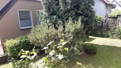 Apartament Pod Cisem