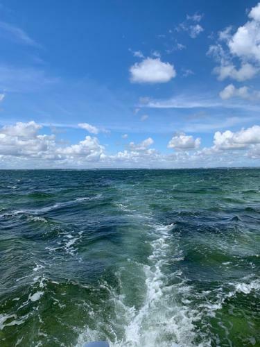 Wygodny Apartament W Pucku