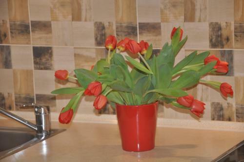 Apartamenty Levilla
