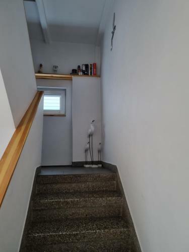 Ryf Mew Rewa Apartament Noclegi