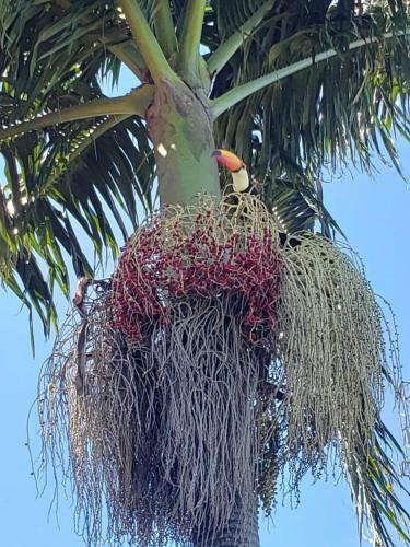 Para�so Com Vista Das Montanhas Em Serra Negra