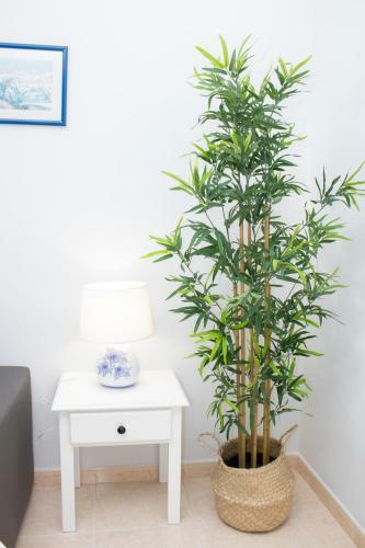 Dunas Alvor- Apartamento Viva Local